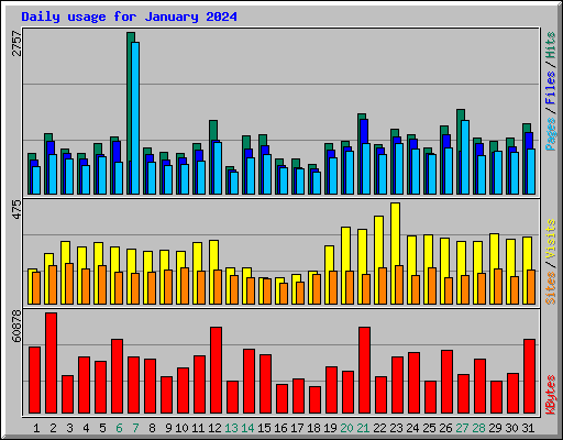 Daily usage for January 2024