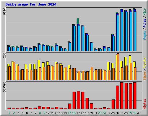 Daily usage for June 2024