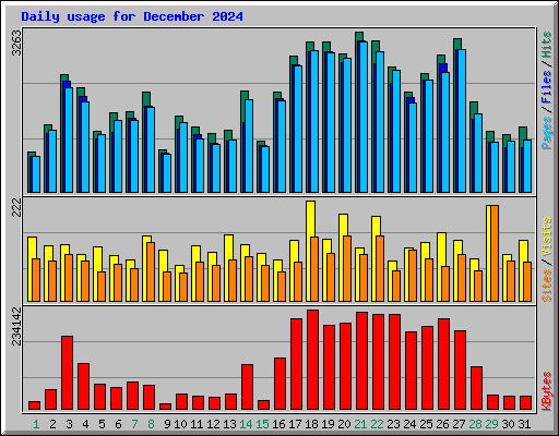 Daily usage for December 2024
