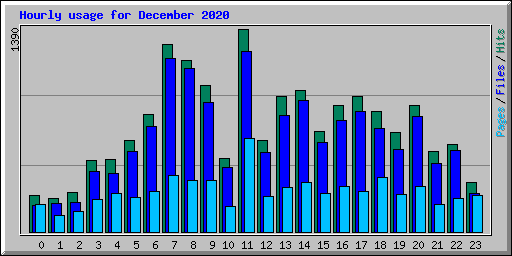 Hourly usage for December 2020