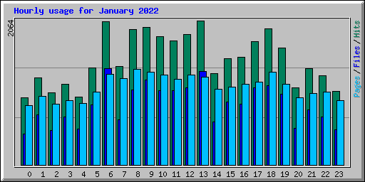 Hourly usage for January 2022