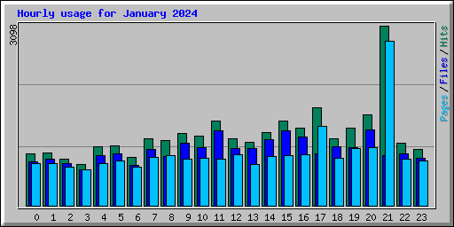 Hourly usage for January 2024