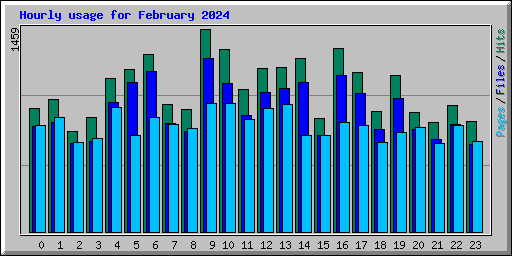 Hourly usage for February 2024
