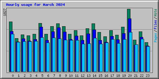 Hourly usage for March 2024