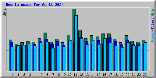 Hourly usage for April 2024