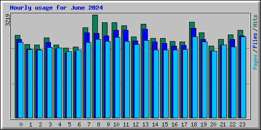 Hourly usage for June 2024