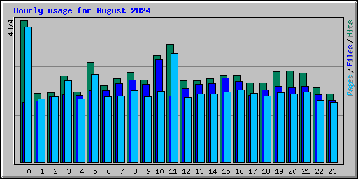 Hourly usage for August 2024