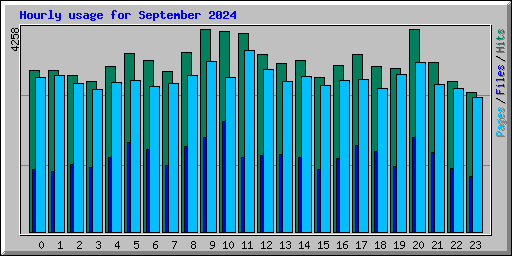 Hourly usage for September 2024