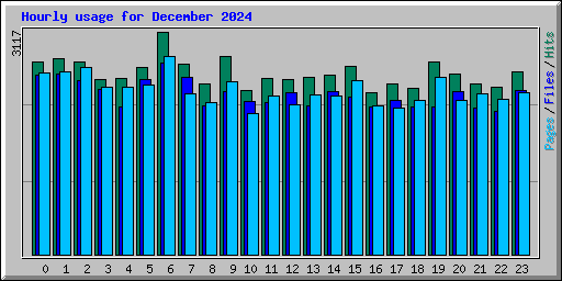 Hourly usage for December 2024