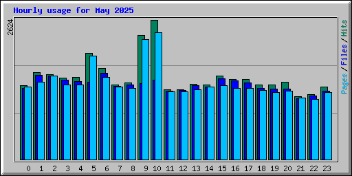 Hourly usage for May 2025