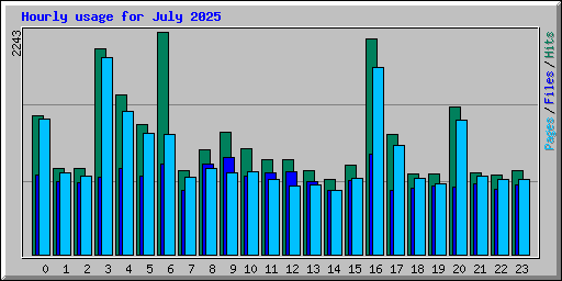 Hourly usage for July 2025