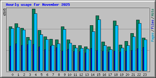 Hourly usage for November 2025
